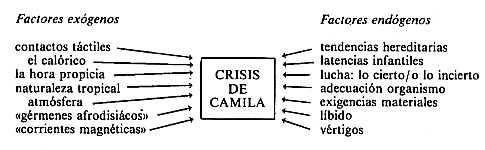 Diagrama de los factores de actuación externa e interna en la crisis de Camila