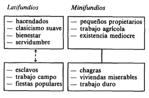 Diagrama del enfrentamiento entre los latifundios y los minufundios, la diferenciación étnica y los contrastes socioeconómicos