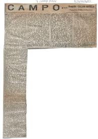 Campo / por Joaquín Calvo-Sotelo | Biblioteca Virtual Miguel de Cervantes