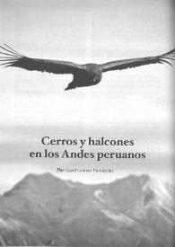 Cerros y halcones en los Andes peruanos  / David Lorente Fernández
 | Biblioteca Virtual Miguel de Cervantes